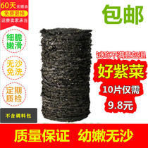 Seaweed dry goods sand-free leave-in-place wild head water bulk bubble instant boiled egg flower seaweed soup 10 pieces small package
