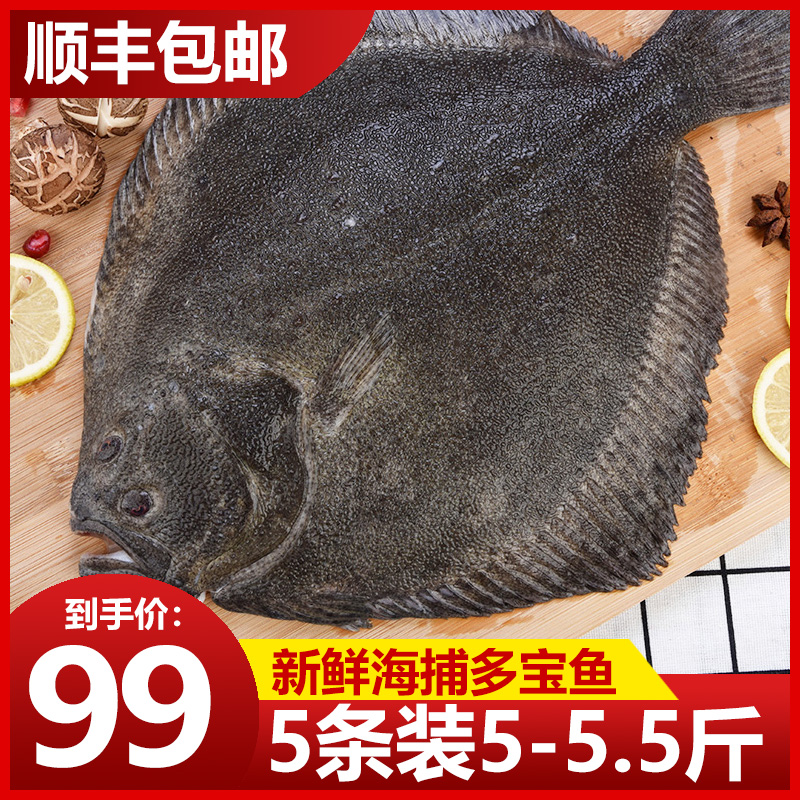 Sea fishing 5 fresh live frozen seafood Aquatic flounder plaice Turbot opium fish