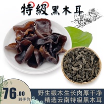 Yunnan black fungus cloud ear dry goods rootless meat thick autumn fungus Premium basswood fungus Small bowl ear salad 500g