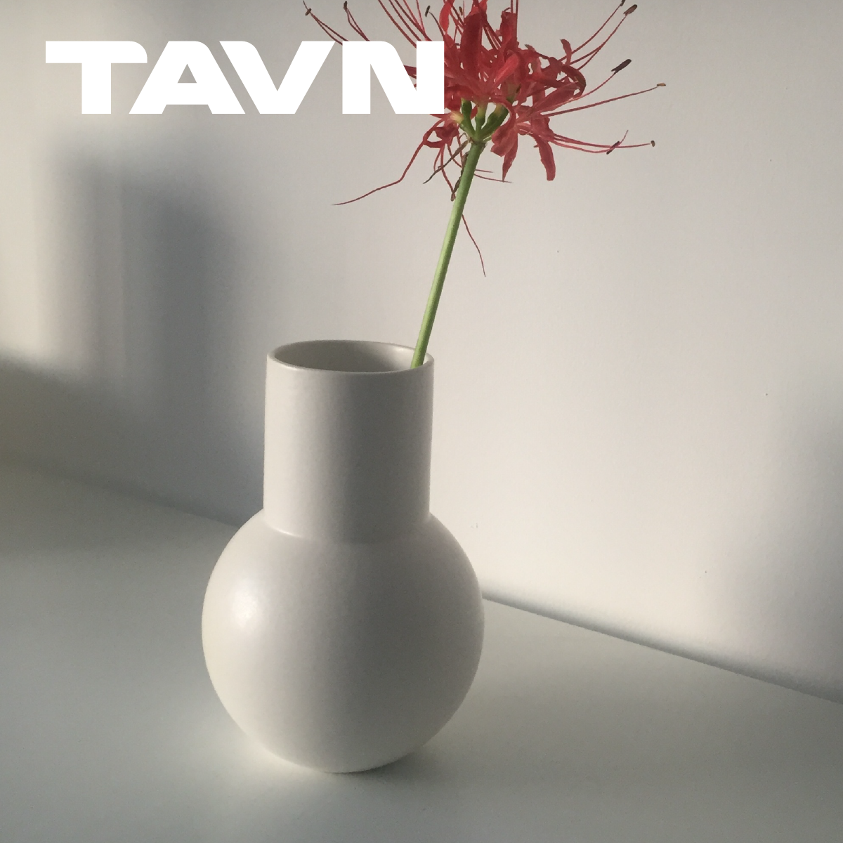 TAVN openobject 