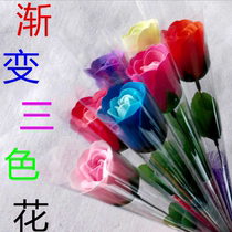 Opening a single rose gradient three-color soap flower festival Mothers Day Valentines Day birthday gifts