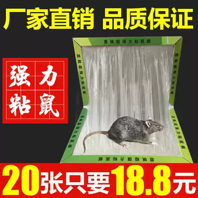 20 pieces of sticky mouse board super strong mouse paste rodent rodenticide mouse cage medicine household mousetrap