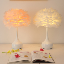 Feather Table Lamp Bedroom Bed Head Cabinet Light Creativity Romantic Brief Modern Net Red Wedding House Cozy Teenage decorative lamp