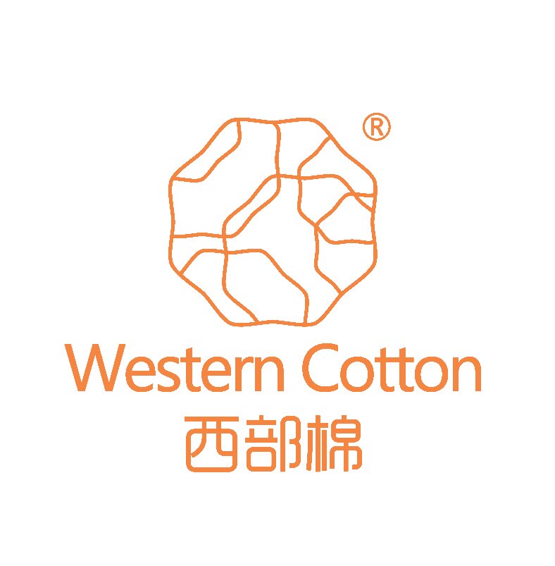西部棉布面卫生巾自营店