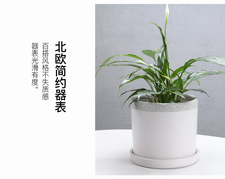 Of meat in the pot ceramic wholesale contracted green plant cylinder pot wholesale sitting room with extra large ceramic tray