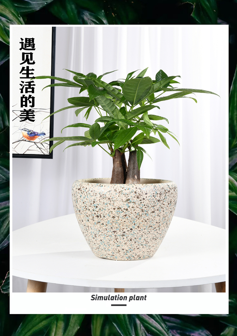 Chinese ceramic flower pot contracted money plant bracketplant breathable oversized bag mail sitting room balcony flowerpot wholesale clearance