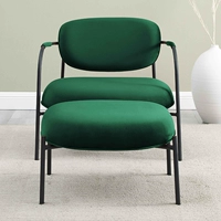 Дизайнерский зеленый лебедь