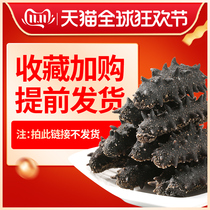 Ginseng dynasty sea cucumber dry goods pay attention to the store to send fresh bags to collect and purchase priority shipping orders do not ship