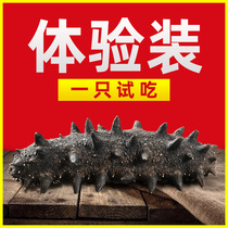 Ginseng dynasty Dalian bottom sowing deep sea 8 years light dry sea cucumber dry goods a pack of Liao thorn ginseng sea seepage try to pay postage