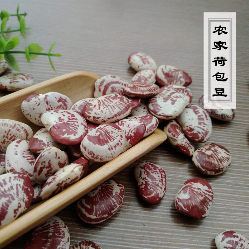 Farmhouse pocketbook bean-like beans with large kidney beans 250g legumes for beans and beans with beans non-zebra beans