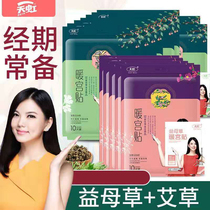 Tianhong warm palace paste motherwort self-heating warm baby winter palace cold ginger warm paste aunt wormwood warm body paste