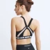 Ito Nika Đồ lót thể thao Phụ nữ chống sốc tập hợp Chạy bộ chống ngã Bra Yoga Zipper Hollow Fitness Bra