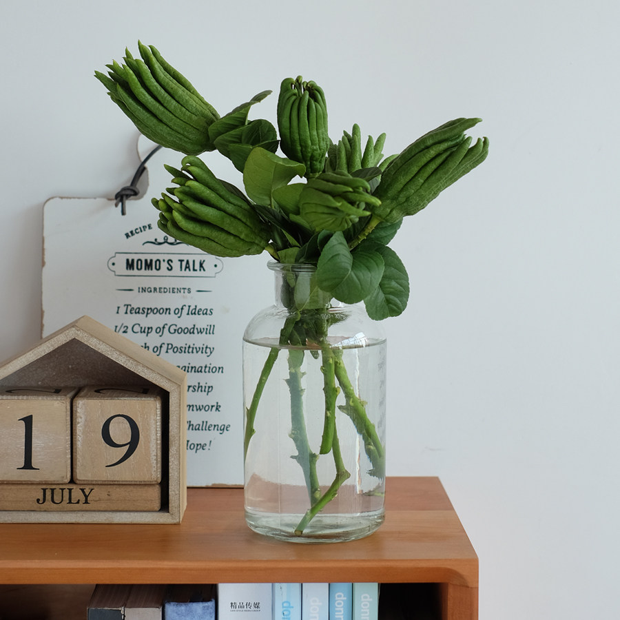 Bergamot hydroponics Jinhua specialty Bergamot fresh fruit Bergamot green fruit Citron fruit Ornamental clear supply with branches hydroponic flower arrangement