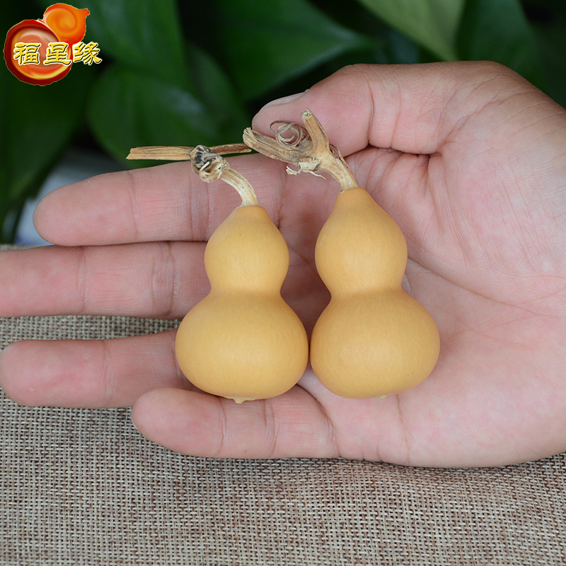 Natural special small hand twist text play gourd handle pieces boutique with faucet carry iron bag gold mini grass gold ornaments