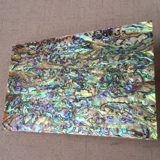 Утолщенный новозеландский натуральный абалон 0,5 мм раковина Blue -Green Pusne Patter