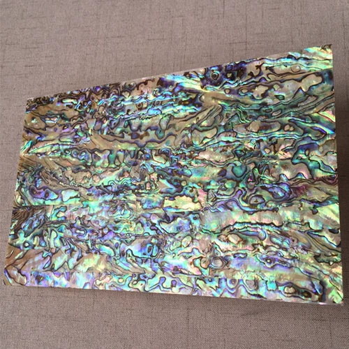 Утолщенный новозеландский натуральный абалон 0,5 мм раковина Blue -Green Pusne Patter