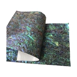 Мягкие моллюсков с убалоном могут согнуть пресноводные масляные цветы Белая оболочка бумага специальное мастерство и декоративный материал с клейкой клейкой