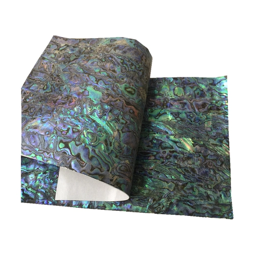 Мягкие моллюсков с убалоном могут согнуть пресноводные масляные цветы Белая оболочка бумага специальное мастерство и декоративный материал с клейкой клейкой