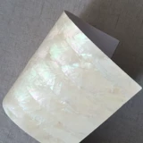 Мягкие моллюсков с убалоном могут согнуть пресноводные масляные цветы Белая оболочка бумага специальное мастерство и декоративный материал с клейкой клейкой