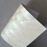 Файн -рисунок мягкие моллюски