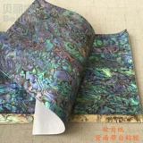 Мягкие моллюсков с убалоном могут согнуть пресноводные масляные цветы Белая оболочка бумага специальное мастерство и декоративный материал с клейкой клейкой