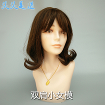 Wig Model Head Head Prop wig bracket model display model fake models fake head of dummy head
