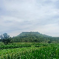 粤西家乡味