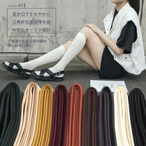 Silk Socks Female Calf Socks Spring Autumn Season Thin days Velvet Black Long Silo Pile Socks LIGHT LEG GOD INSTRUMENTAL LONG SOCKS WOMAN