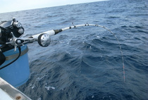 PANDA Assessment 9 Extrem Labour House 80 No. 100 2 1 m 2 4 m Mügen Infinite Boat Offshore Handcraft Rod