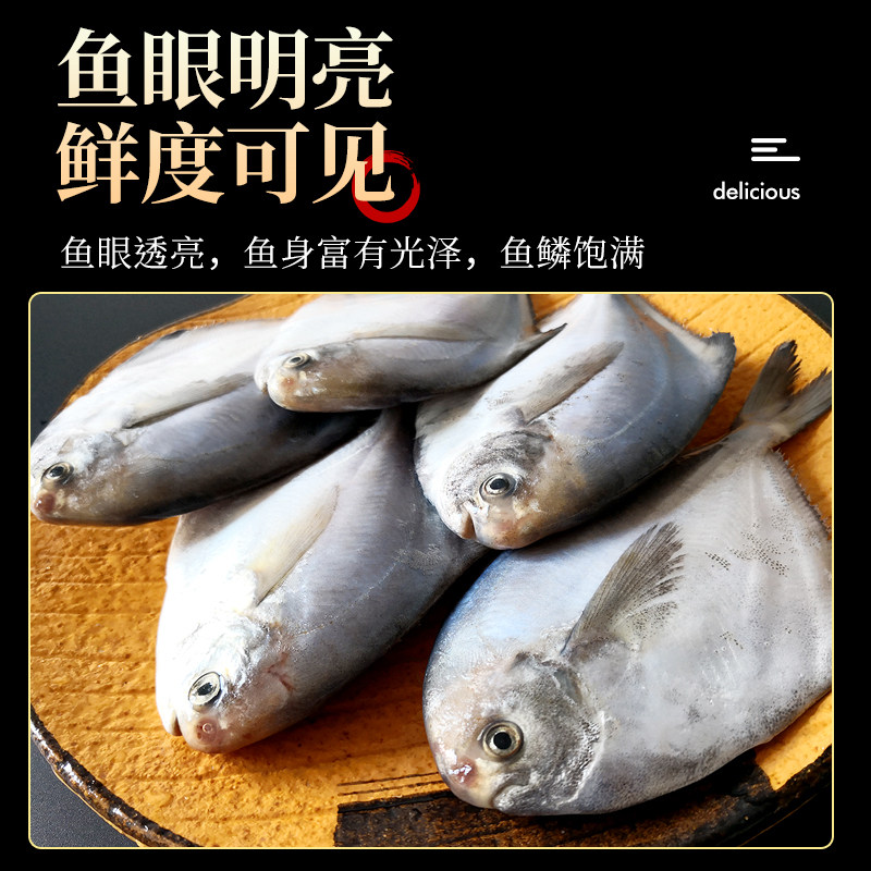 银鲳鱼顺丰包邮4斤，大连渤海湾海捕银昌鱼大平鱼，冰鲜速冻无冰衣究竟有何特别之处？-鲳鱼-淘宝好物网