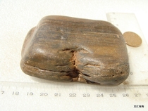 Heilongjiang water washed petrified wood straight stripes petrified wood raw stone natural stone 260g