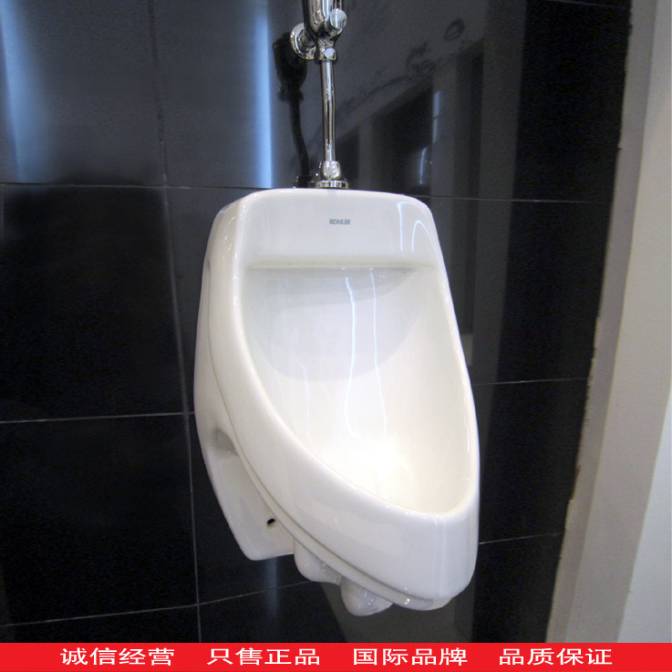 Kohler K-5016T-YER YET Dast 0 5 liter water-saving urinal pool rear connection type top connection type