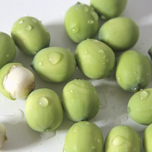 SF Бесплатная доставка Свежая и нежная лотос семена риса фрукты лотос лотос лотос сырой, не принесите лотос -скалу натуральный Xianglian, теперь выбирайте 2 фунта