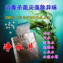 Water purification tablets 200 tablets 1 bag well water river water outdoor drinking water purification and disinfection tablets water tower water tank sterilization and algae removal