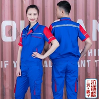 Screeure Blue Set (82 модели молнии)