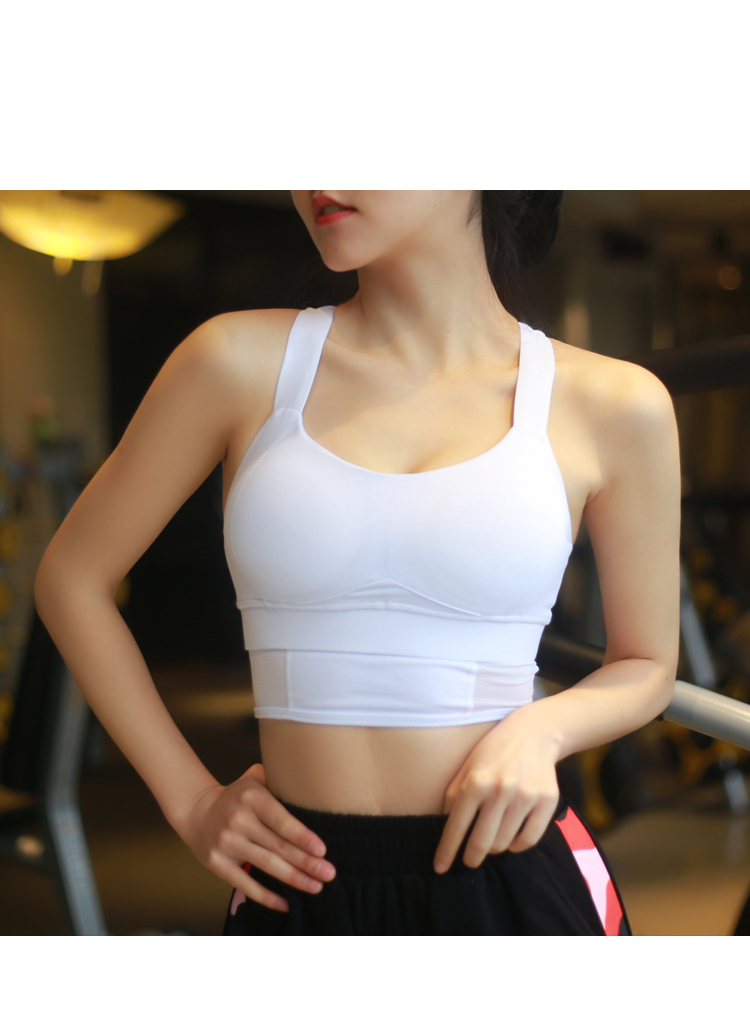 Đồ lót thể thao chống sốc chuyên nghiệp cường độ cao dành cho nữ bra thể thao