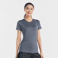 Темная модель серо-обновления