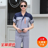 Тибетский синий серый