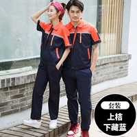 Пять династий-апельсиновых спрятанных синих наборов