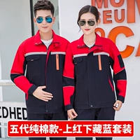 Пять династий Хлопко-голубые набор скрытого синего