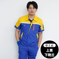 Пять династий-Шан Хуан Ся Янлан Топ