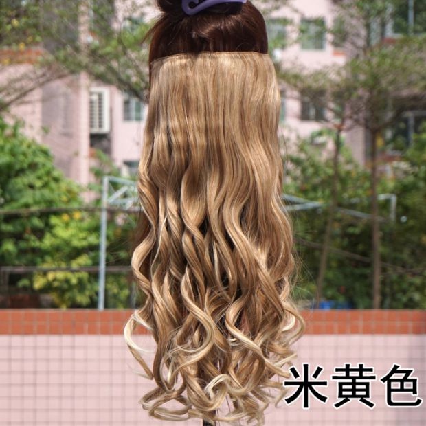 Extension cheveux - Ref 219987 Image 5