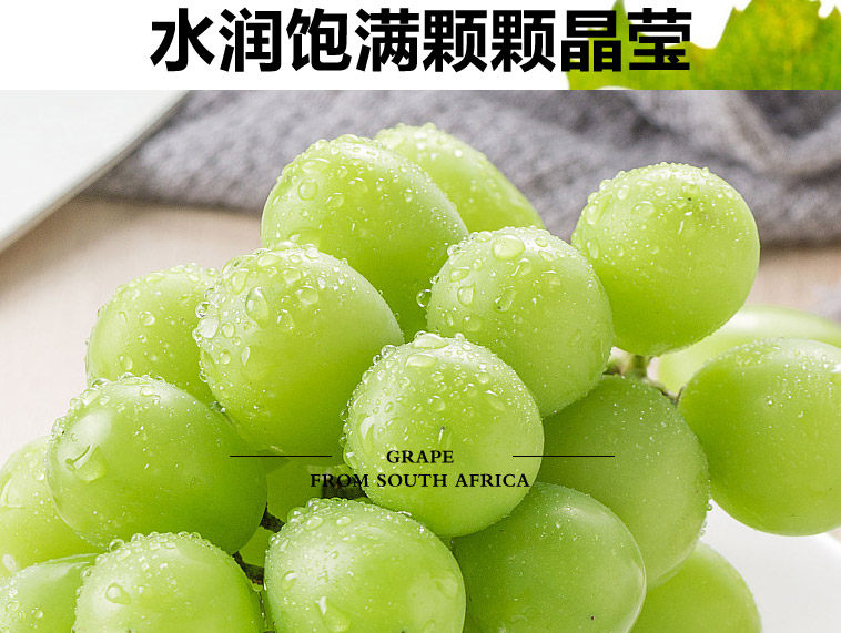 Японский зеленый виноград_05.jpg