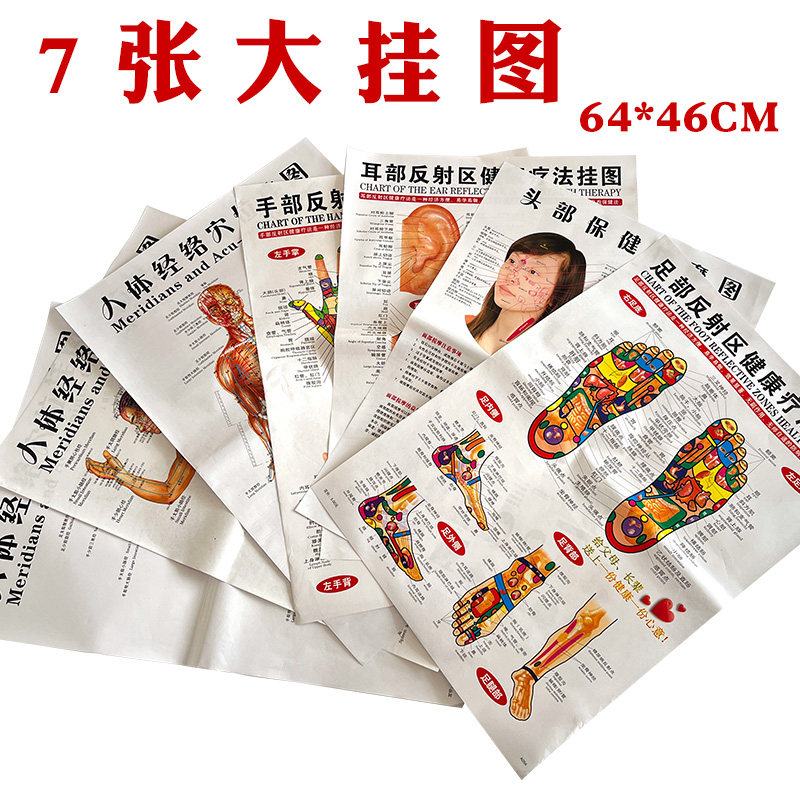 7张穴位图手足耳头全身正背侧面足底脚底反射区中医人体经络挂图