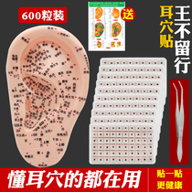 High quality ear acupoint sticking ear acupoint pressing Bean not degumming ear acupoint sticking pressure stimulation sticking King not leaving seed ear sticking