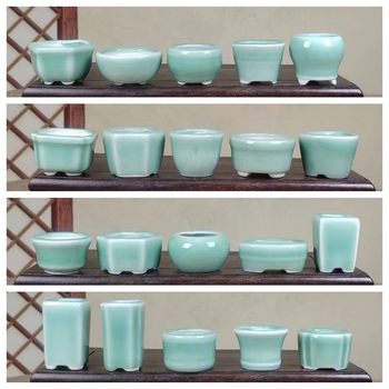 Thumb pot bonsai nursery pocket succulent