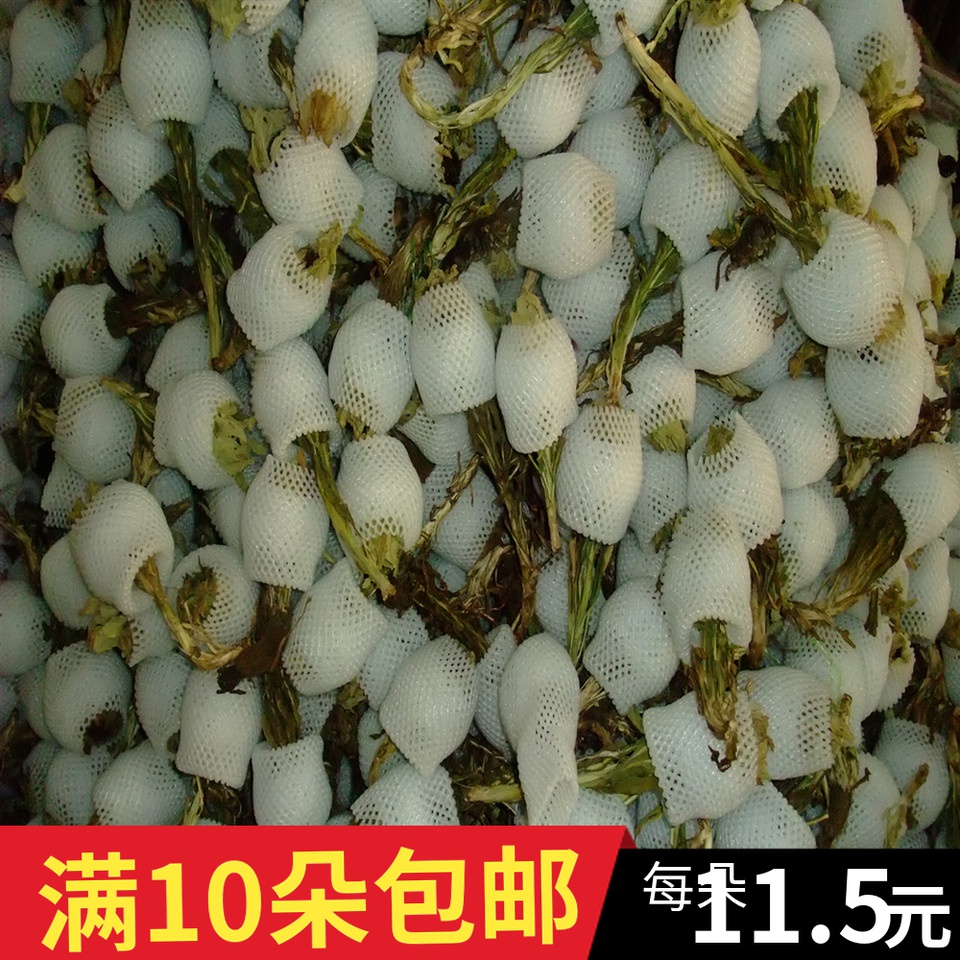 New goods Tianshan Snow Lotus Xinjiang Zhengzong Tianshan Snow Lotus Dry 1 Dove 10 Dot