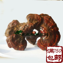 Changbai Mountain Pure Wild Ganosa Linzhi Guanzhi Linzhi True Jilin Forest Manor