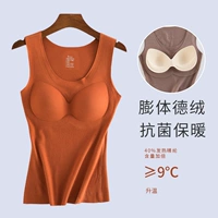 Теплый клен