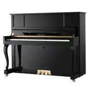 HAILUN / Helen Piano HU123C-Một người chơi chuyên nghiệp dành cho người lớn chơi đàn piano dọc